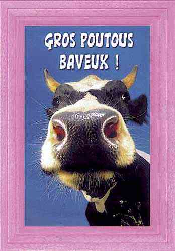 Gros poutous