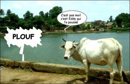 Plouf!!