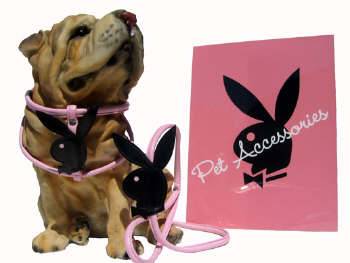 Play boy