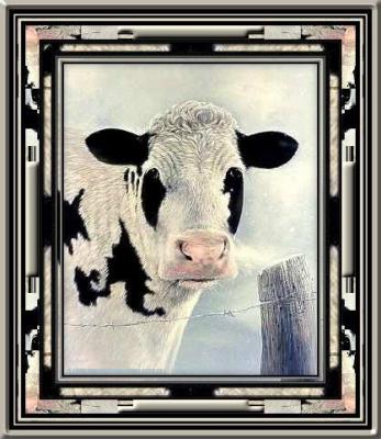 Vache