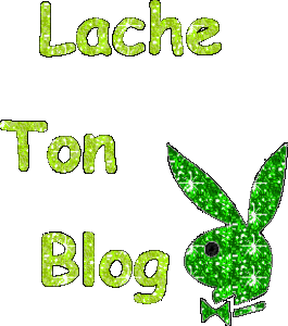 Lache ton blog!!
