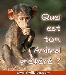 Alor c le kel??